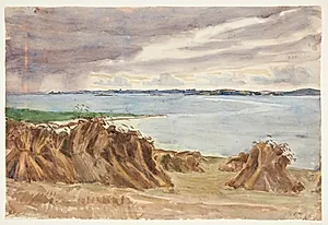 Rug i traver. Katterød rev. I baggrunden Bjørnø by Peter Hansen