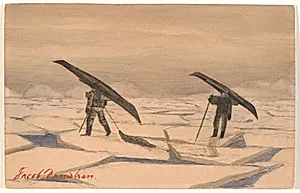 Sælfangst