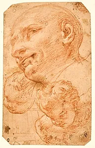 Sankt Carlo Borromeos hoved mellem to keruber