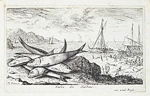 Sardinen (Sarda) by Albert Flamen