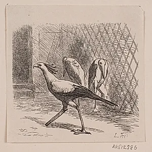 Sekretær i Jardin des Plantes by Ubekendt