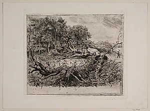 Selskovegen by Niels Skovgaard