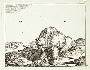 Siddende bjørn, set forfra by Marcus de Bye