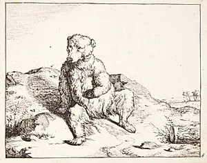 Siddende bjørn, set forfra by Marcus de Bye