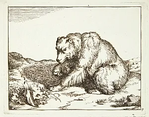 Siddende bjørn, vendt mod venstre by Marcus de Bye