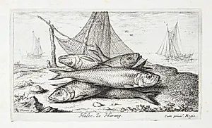 Silden (Halec) by Albert Flamen