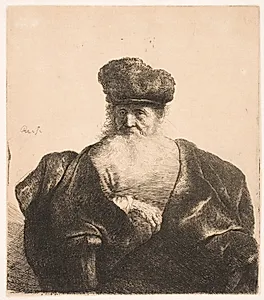 Skægget gammel mand med fløjlskappe by Rembrandt van Rijn