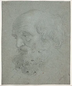 Skægget mandshoved (Apostlen Peter)
