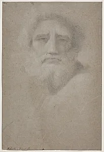 Skægget mandshoved by Hendrik Krock