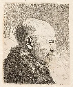 Skaldet mand i profil (Rembrandts fader?) by Rembrandt van Rijn