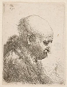 Skaldet mand i profil (Rembrandts fader?) by Rembrandt van Rijn