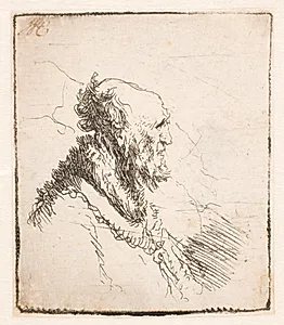 Skaldet mandshoved by Rembrandt van Rijn