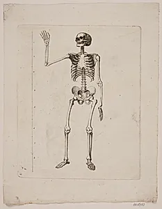 Skelet by Gerhard Ludvig Lahde