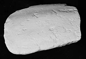 Skinneben, fragment fra mandsstatue by Ubekendt