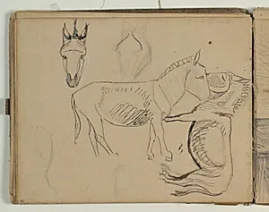 Skitse af æsel. Notat by Niels Larsen Stevns