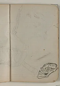 Skitse af dyreskelet by Niels Larsen Stevns