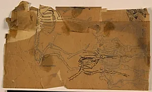 Skitse af dyreskeletter by Niels Larsen Stevns