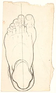 Skitse af en fod set fra oven. Hælen t.v. by Nicolai Abildgaard