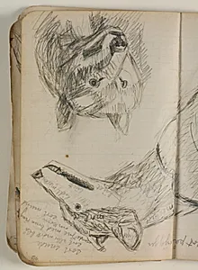 Skitse af en ulv. Notater by Niels Larsen Stevns