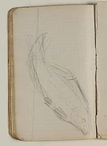 Skitse af fisk by Niels Larsen Stevns