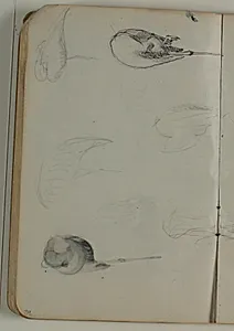 Skitse af traner by Niels Larsen Stevns