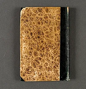 Skitse og rejsedagbog. Schweiz, Frankrig og Italien 1845-46 by Johan Thomas Lundbye