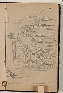 Skitse til fakkeltoget til "H.C. Andersens i Odense" by Niels Larsen Stevns