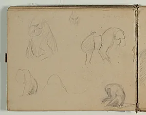 Skitser af bavianer. Notat by Niels Larsen Stevns