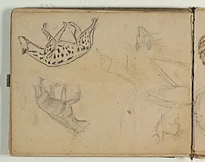 Skitser af dyr, bl.a. hyæner by Niels Larsen Stevns