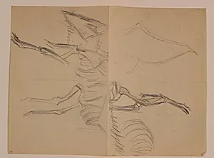 Skitser af dyreskelet by Niels Larsen Stevns