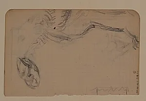 Skitser af dyreskelet by Niels Larsen Stevns