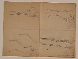Skitser af dyreskeletter by Niels Larsen Stevns