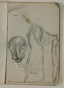 Skitser af dyreskeletter by Niels Larsen Stevns