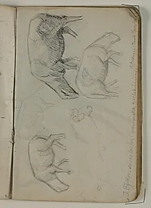 Skitser af får. Notater by Niels Larsen Stevns