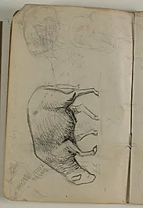 Skitser af får. Notater by Niels Larsen Stevns
