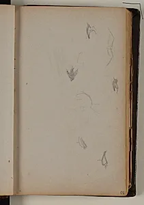 Skitser af flyvende fugle by Niels Larsen Stevns