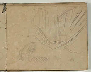Skitser af fuglevinge by Niels Larsen Stevns