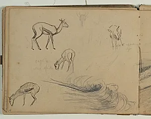 Skitser af gazeller. Bølgeskitse. Notater by Niels Larsen Stevns