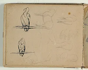 Skitser af grib og heste. Løse rids by Niels Larsen Stevns
