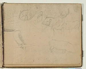 Skitser af gris, fugl og tigerhoved by Niels Larsen Stevns