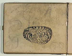 Skitser af kat. Notat by Niels Larsen Stevns
