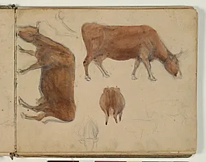 Skitser af køer by Niels Larsen Stevns