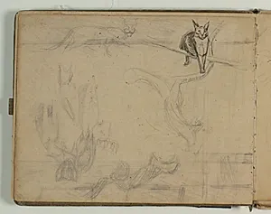 Skitser af los, odder, vaskebjørn(?) og kænguru(?) by Niels Larsen Stevns
