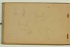 Skitser af rådyr by Niels Larsen Stevns