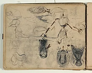 Skitser af rovfugle. Artsbetegnelser by Niels Larsen Stevns