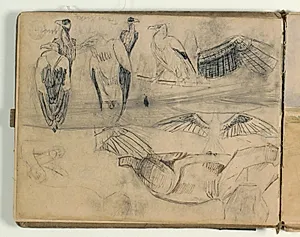 Skitser af rovfugle, fuglevinger og løve. Landskabsskitse by Niels Larsen Stevns