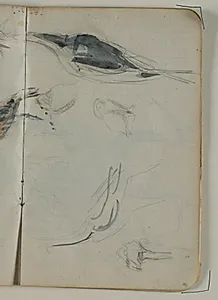 Skitser af traner og ugle by Niels Larsen Stevns