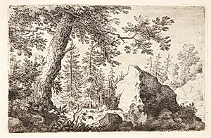 Skov med en stor sten by Allaert van Everdingen