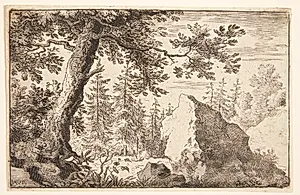 Skov med en stor sten by Allaert van Everdingen