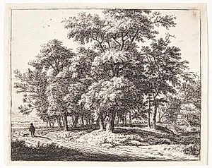 Skov med en vejfarende med hund by Anthonie Waterloo